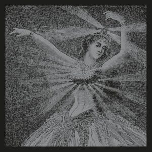 Neutral Milk Hotel ‎– NMH Vinyl Box Set (Vinyl LP 12" 10" 7")