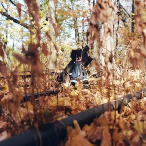 Billy Woods – Golliwog (Vinyl 2LP)