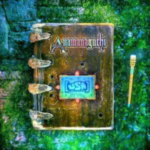 Anamanaguchi ‎– [USA] (Vinyl 2LP)