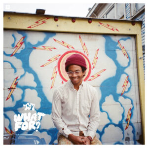 Toro Y Moi – What For? (Beach Ball Colored) (Vinyl LP)