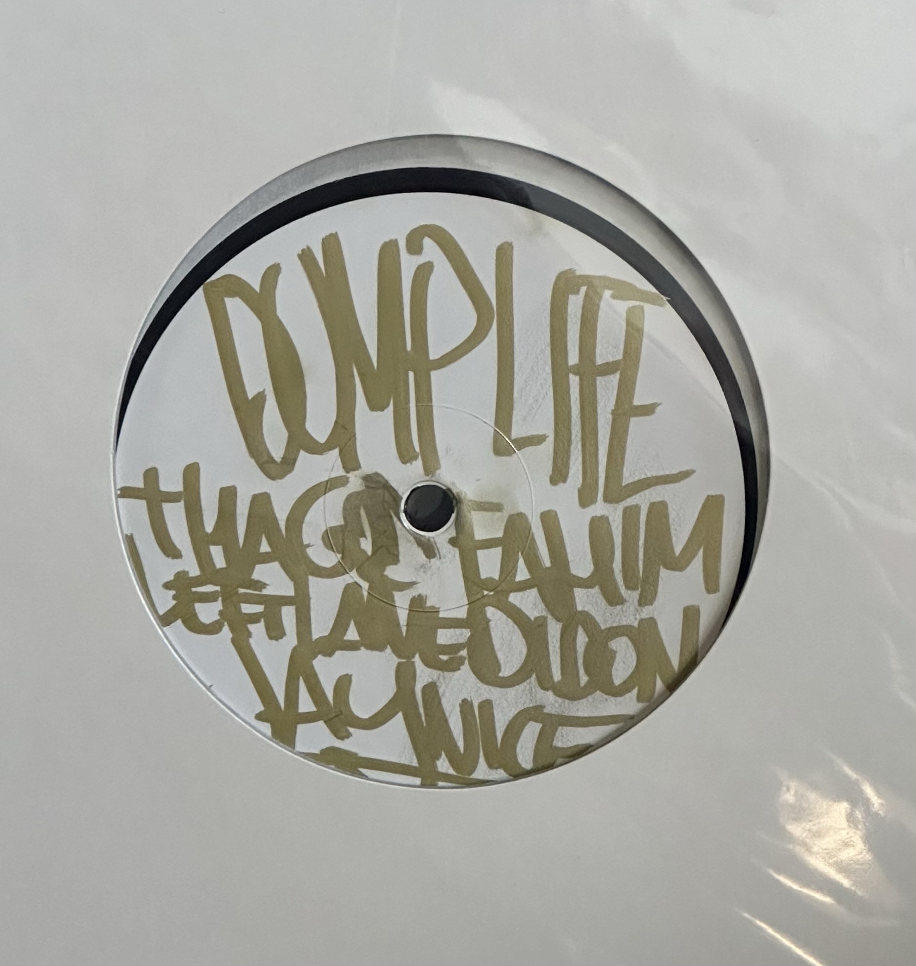 DUMP LIFE Album Cover