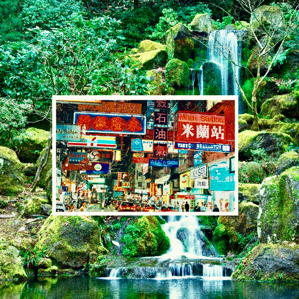 Bipolar / Nature Machine Album Cover