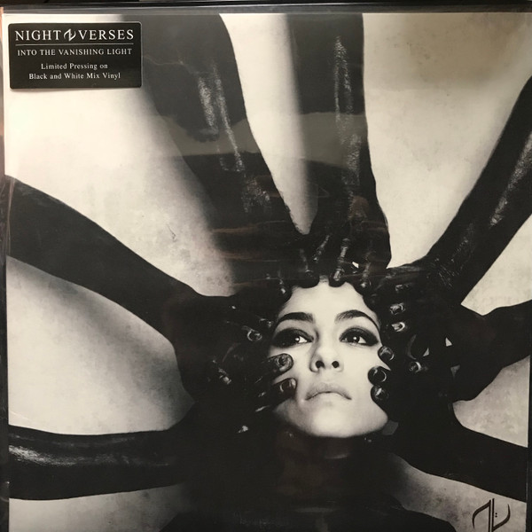 Into The Vanishing Light Album Cover